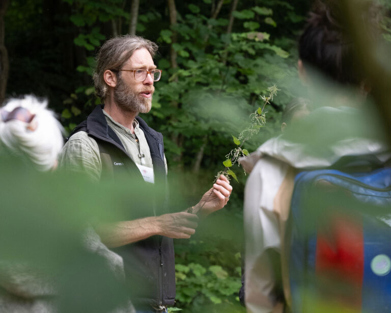 Excursion sur les plantes : les plantes médicinales à portée de main