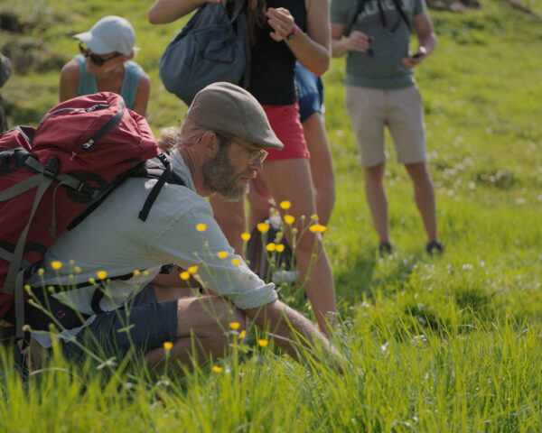 Excursion sur les plantes : à la rencontre des plantes médicinales dans la nature