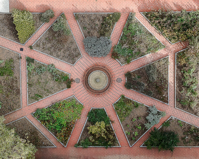 Themenführung: Ceres Heilpflanzengarten & Wildsammlung