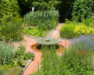 Ceres Erlebnistag für Studierende – Erfolgreicher Praxisstart mit Heilpflanzen