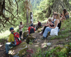 Excursion sur la découverte des plantes: rencontre les plantes médicinales dans la nature