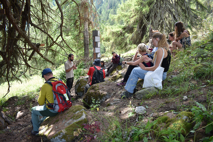 Excursion sur la découverte des plantes: rencontre les plantes médicinales dans la nature