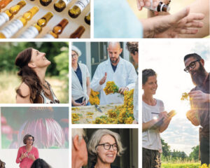 Herstellung und Anwendung pflanzlicher Urtinkturen