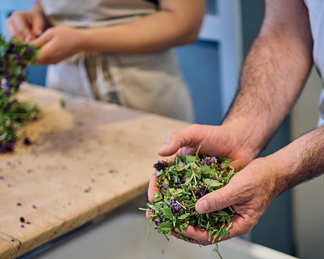 Visite guidée : Production Ceres - De la plante médicinale au médicament holistique