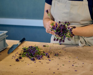 Von der Heilpflanze zur ganzheitlichen Arznei – Die besondere Art der Verarbeitung