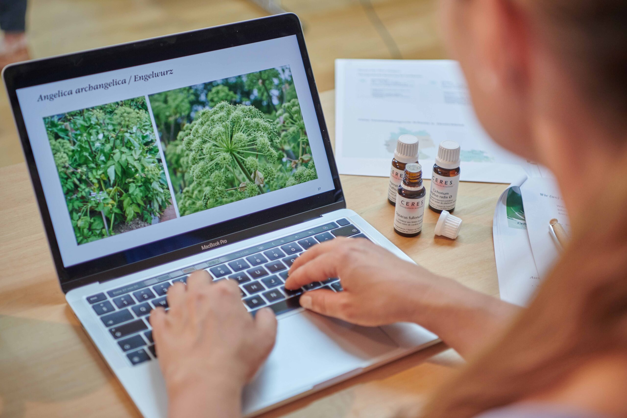 Von der Heilpflanze zur ganzheitlichen Arznei – Die besondere Art der Verarbeitung