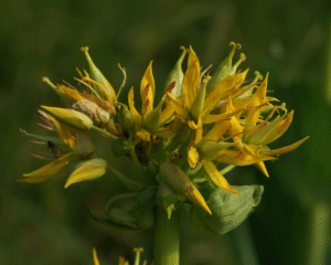 Wandelzeiten, Schwellenzeiten - Transformationsprozesse in Frauenleben