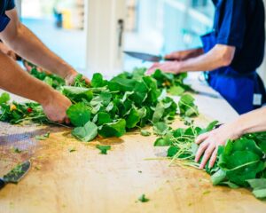 De la plante médicinale au remède holistique – Présentation de Ceres
