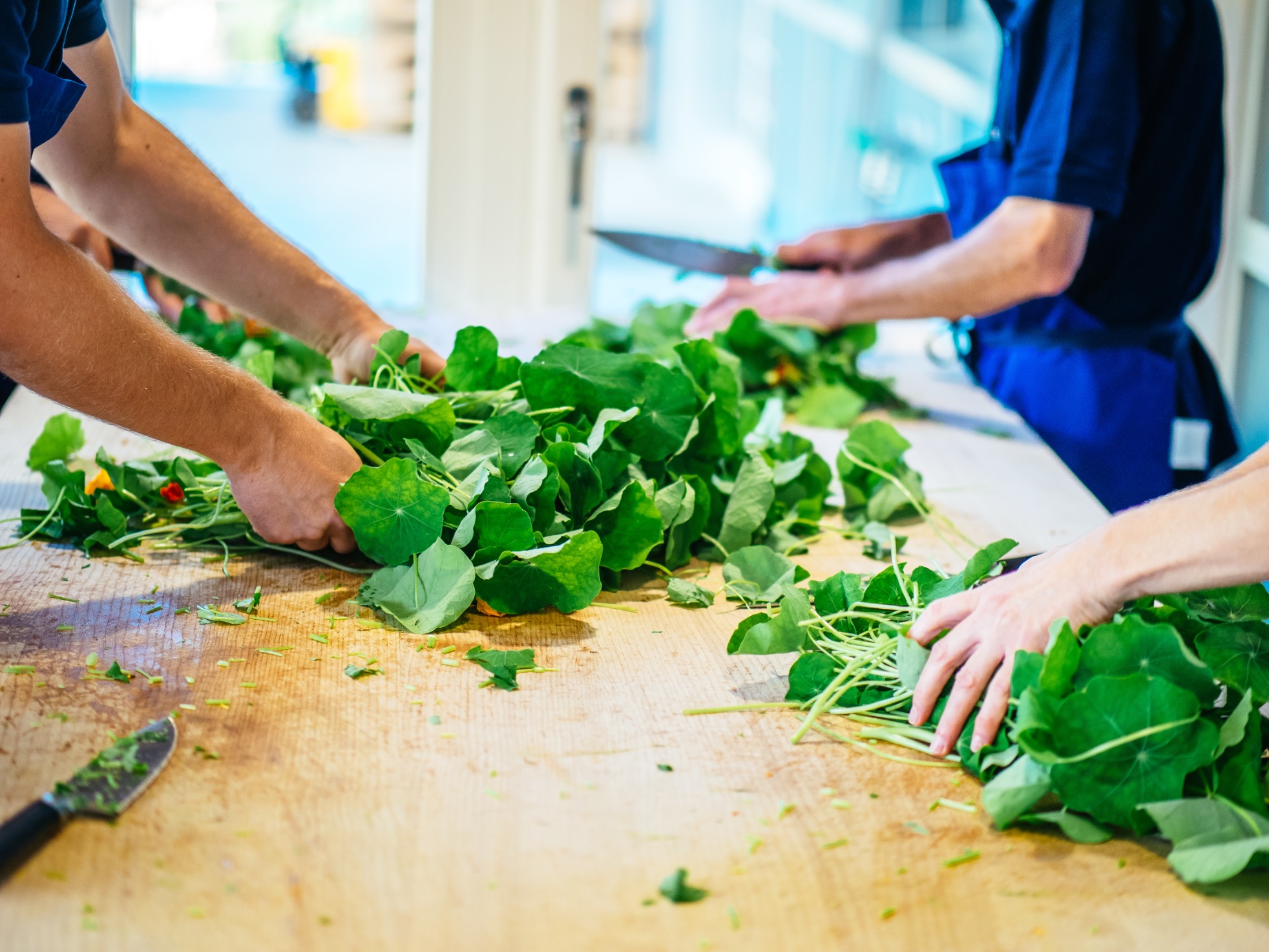 De la plante médicinale au remède holistique – Présentation de Ceres